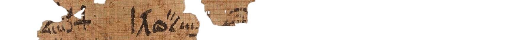 photo of the hieratic text