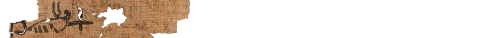 photo of the hieratic text