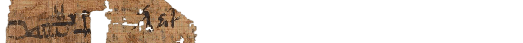 photo of the hieratic text