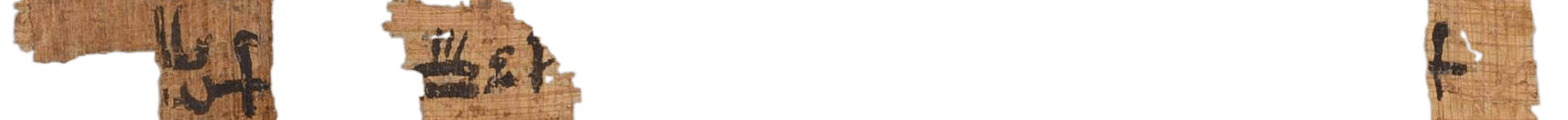 photo of the hieratic text