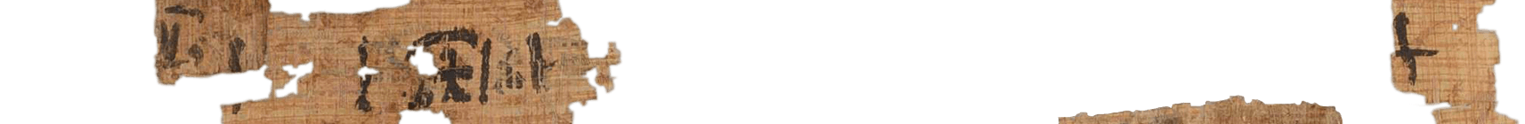 photo of the hieratic text