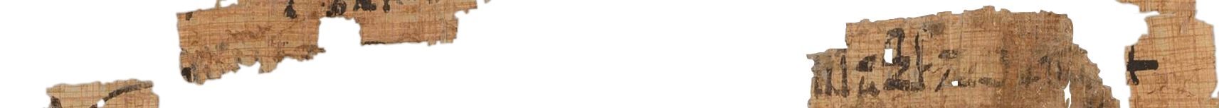 photo of the hieratic text