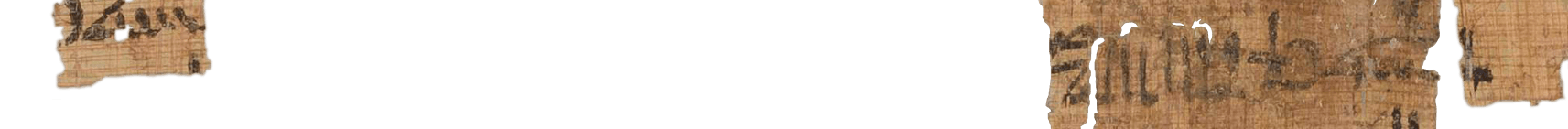 photo of the hieratic text