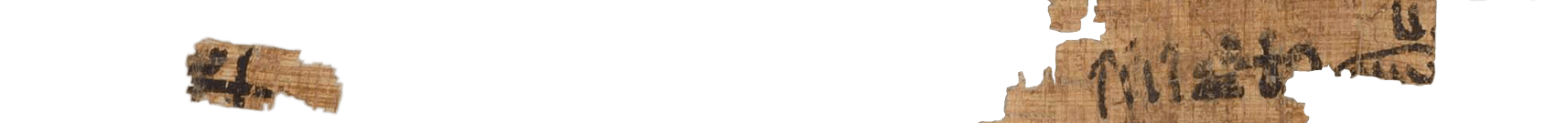 photo of the hieratic text