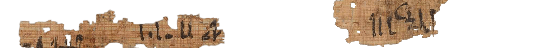 photo of the hieratic text