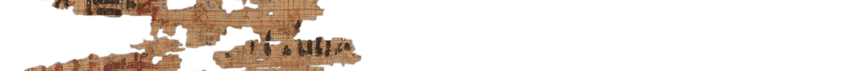 photo of the hieratic text