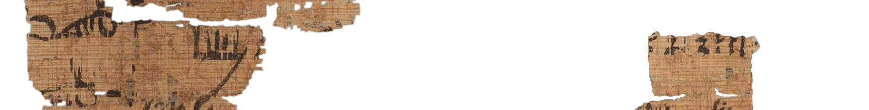 photo of the hieratic text