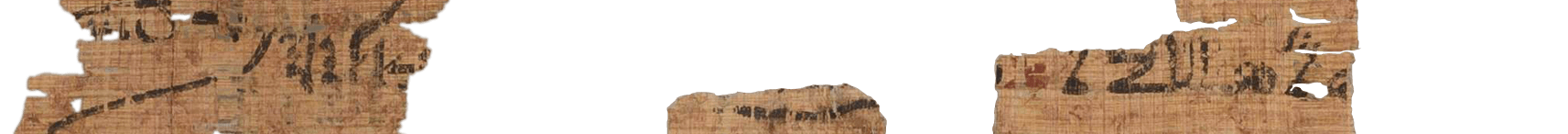 photo of the hieratic text