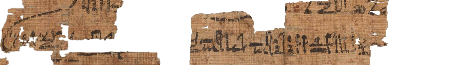 photo of the hieratic text