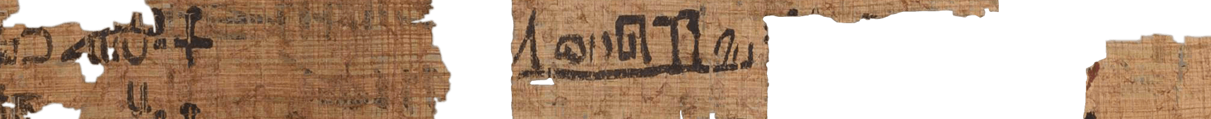 photo of the hieratic text