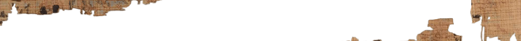 photo of the hieratic text