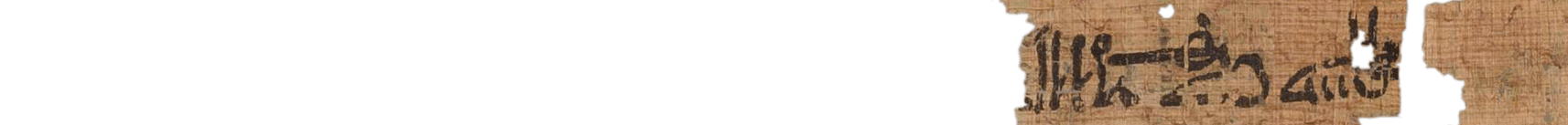 photo of the hieratic text