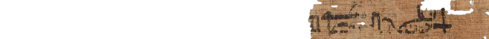 photo of the hieratic text