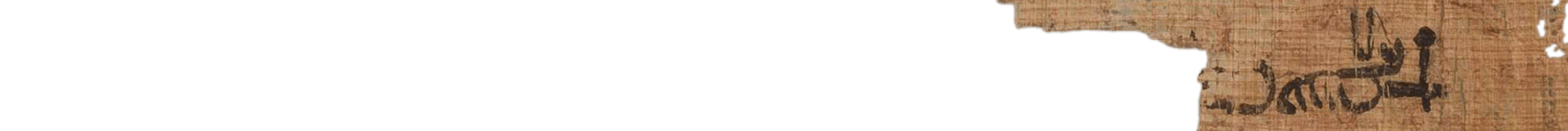 photo of the hieratic text