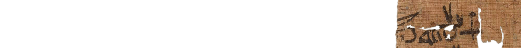 photo of the hieratic text