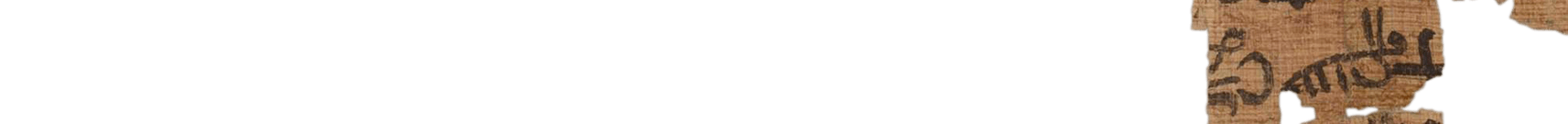 photo of the hieratic text