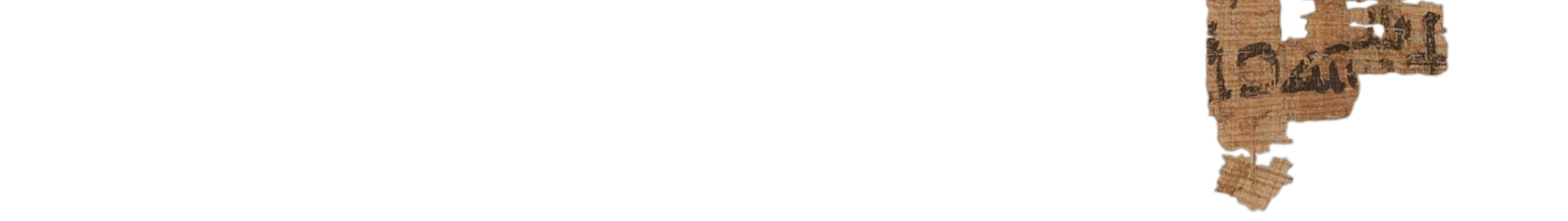 photo of the hieratic text