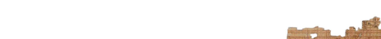 photo of the hieratic text