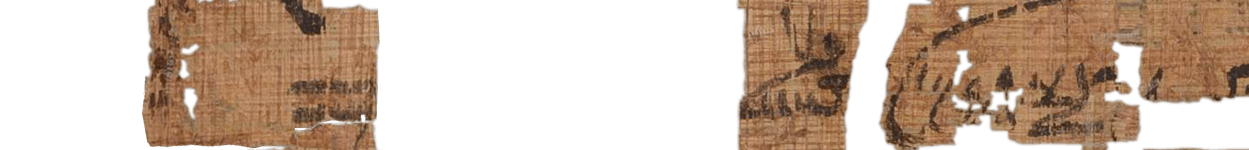 photo of the hieratic text