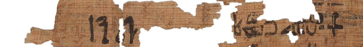 photo of the hieratic text