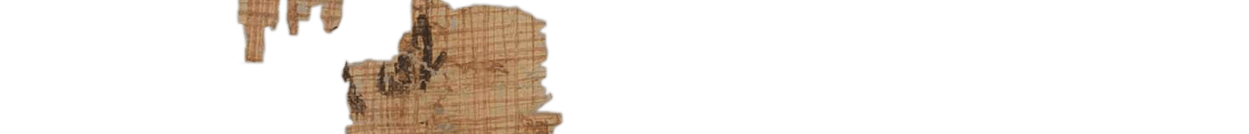 photo of the hieratic text