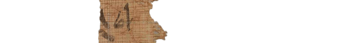 photo of the hieratic text