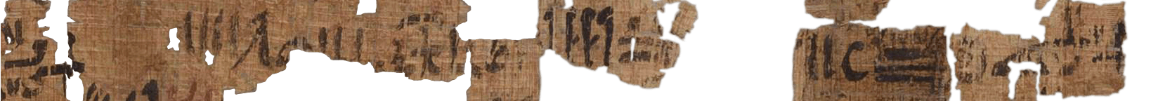 photo of the hieratic text