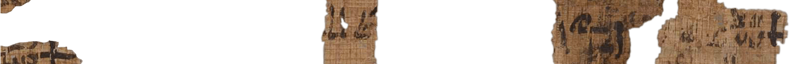 photo of the hieratic text