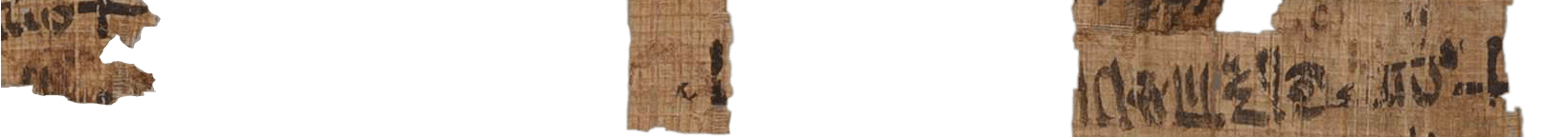 photo of the hieratic text