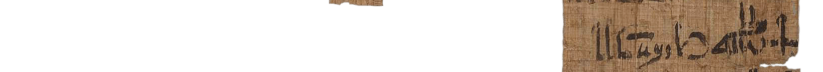 photo of the hieratic text