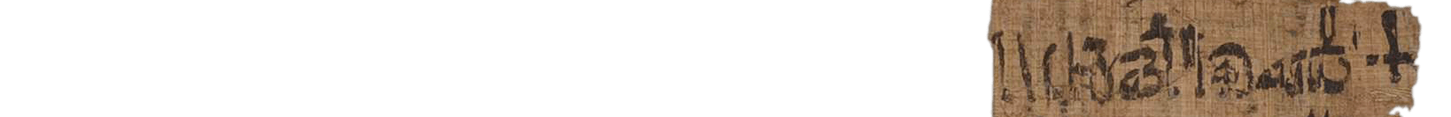 photo of the hieratic text