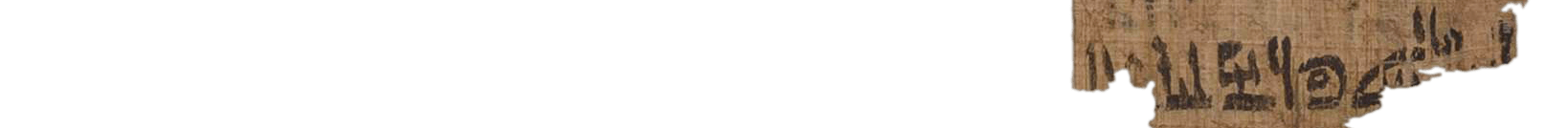 photo of the hieratic text