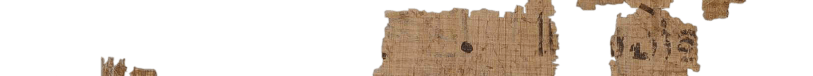 photo of the hieratic text