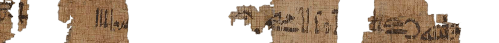 photo of the hieratic text