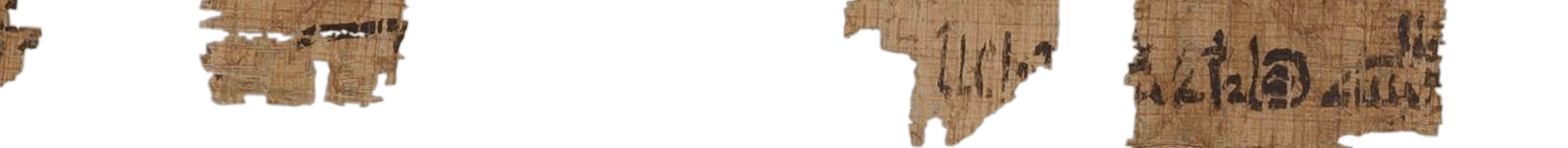 photo of the hieratic text