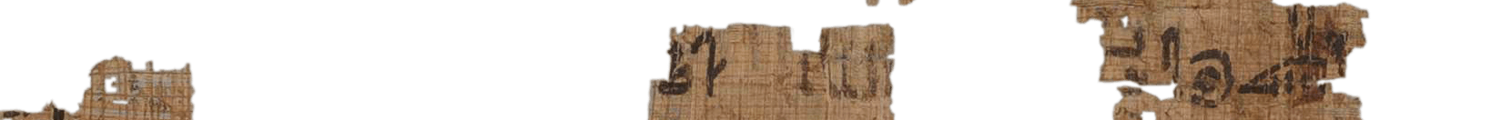 photo of the hieratic text