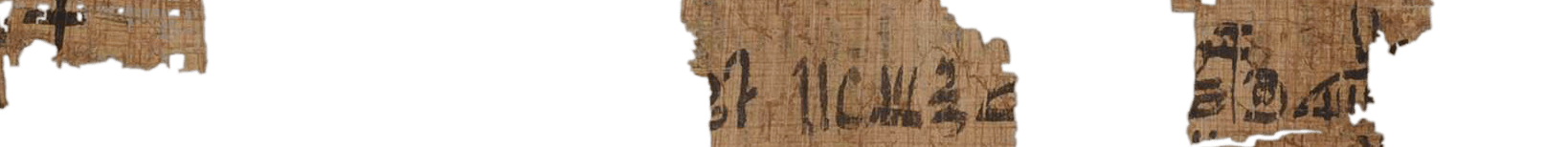 photo of the hieratic text