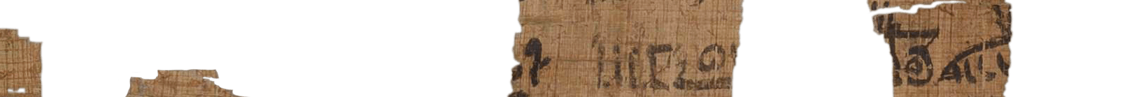 photo of the hieratic text