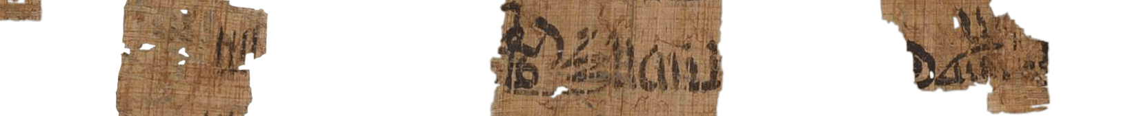 photo of the hieratic text