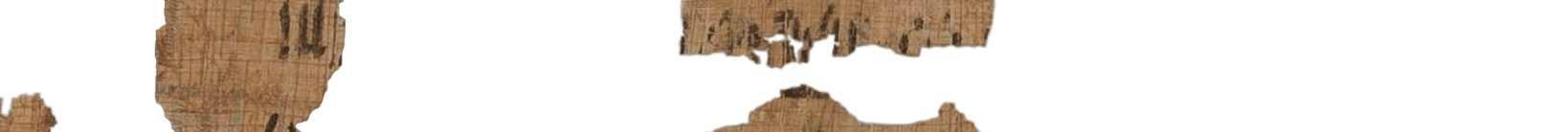 photo of the hieratic text