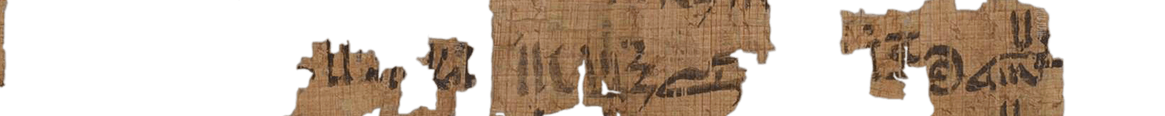 photo of the hieratic text