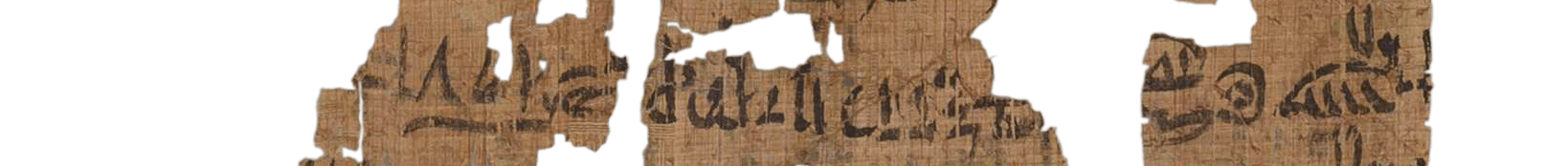 photo of the hieratic text