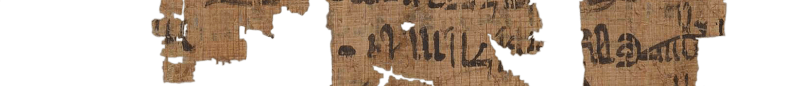 photo of the hieratic text