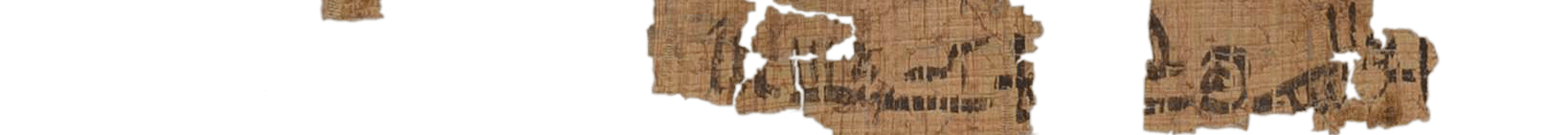 photo of the hieratic text