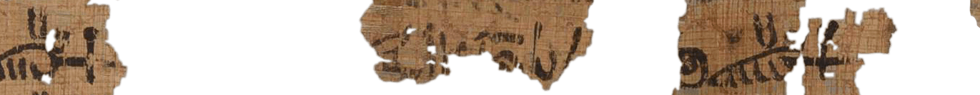 photo of the hieratic text