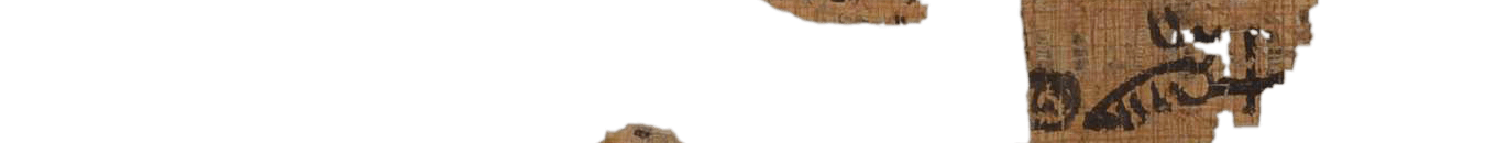 photo of the hieratic text