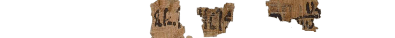 photo of the hieratic text