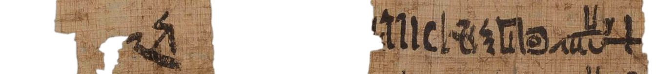 photo of the hieratic text