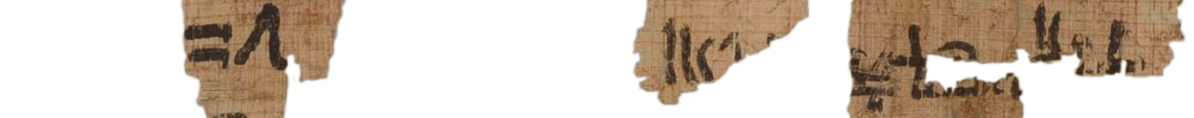 photo of the hieratic text