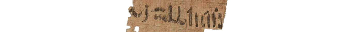 photo of the hieratic text